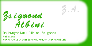 zsigmond albini business card